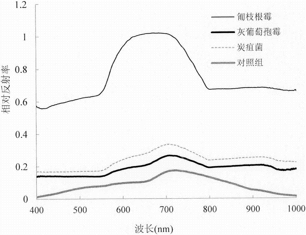 A method for predicting the growth of spoilage fungi based on hyperspectral images