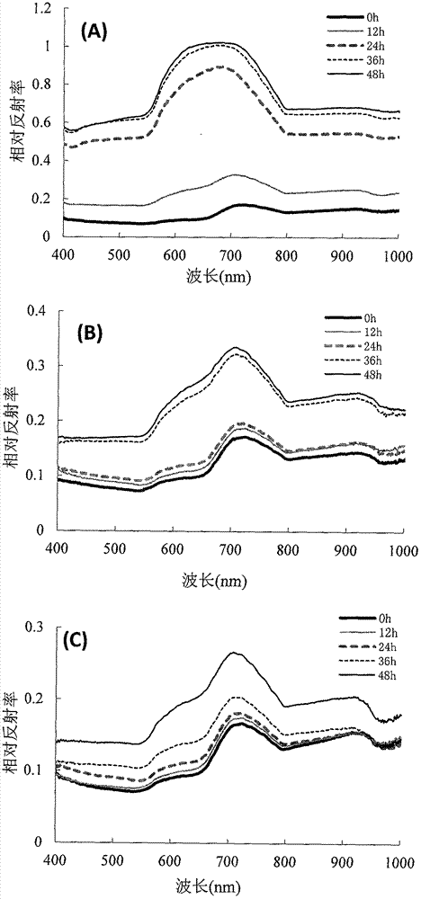 A method for predicting the growth of spoilage fungi based on hyperspectral images