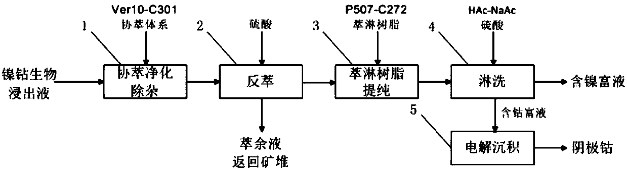 Short flow process for preparing high-purity cobalt from low-content nickel-cobalt bioleaching solution