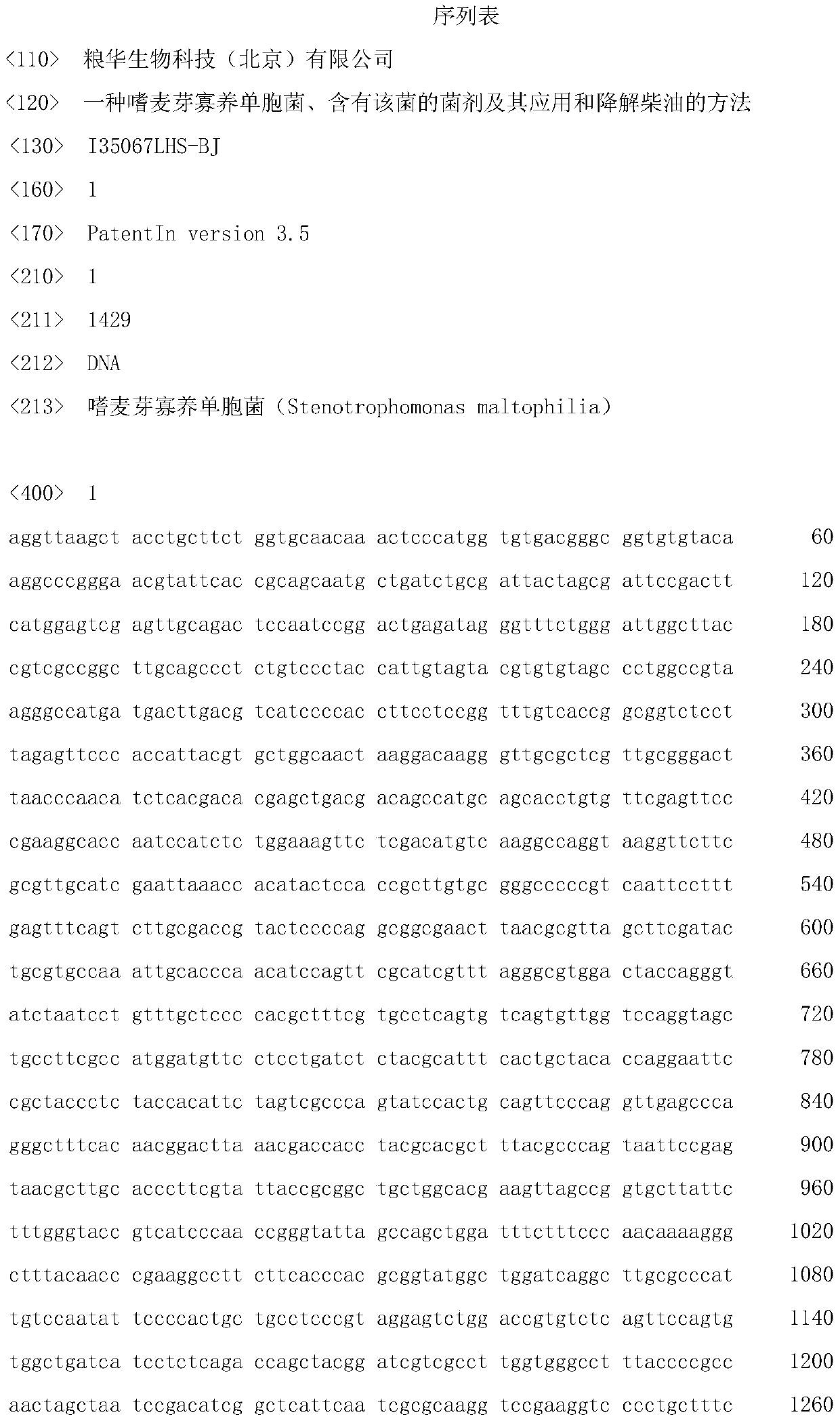 Stenotrophomonas maltophilia, bacterial agent containing the bacterium and its application and method for degrading diesel