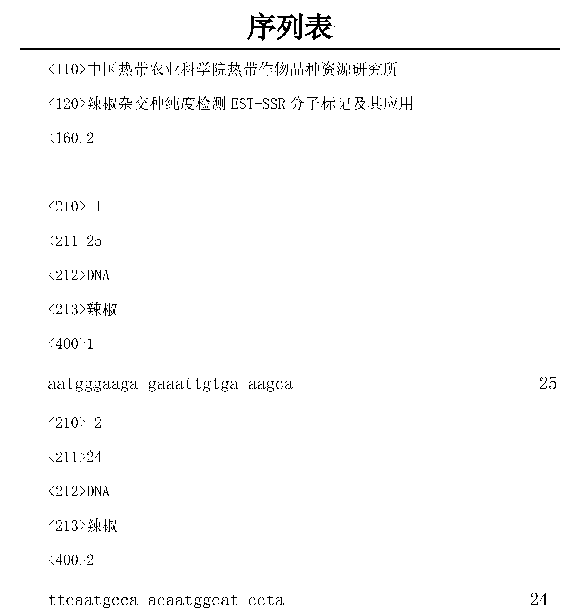 Pepper hybrid seed purity testing EST-SSR (expressed sequence tag-simple sequence repeat) molecular marker and application thereof