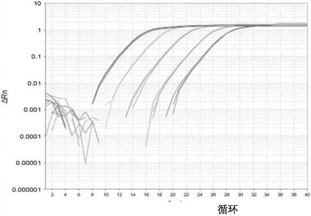 A method for early detection of wilt disease in bayberry