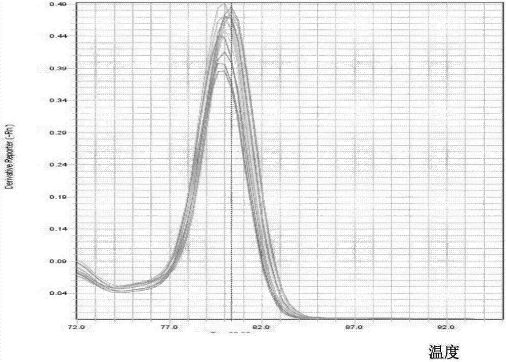 A method for early detection of wilt disease in bayberry