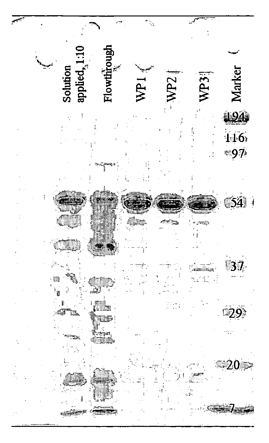 Novel cysteine-depleted hydrophobin fusion proteins, their production and use thereof