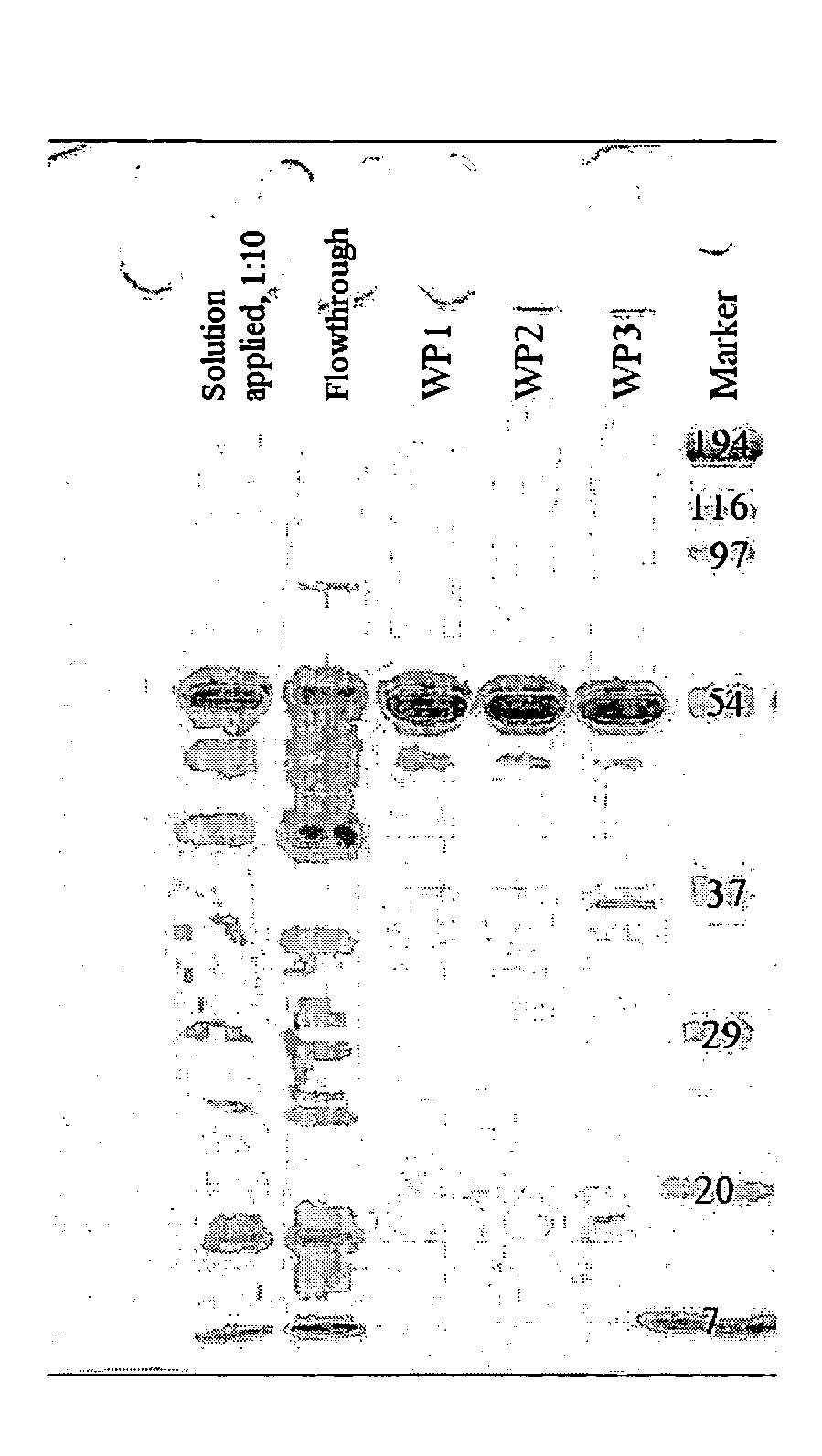 Novel cysteine-depleted hydrophobin fusion proteins, their production and use thereof