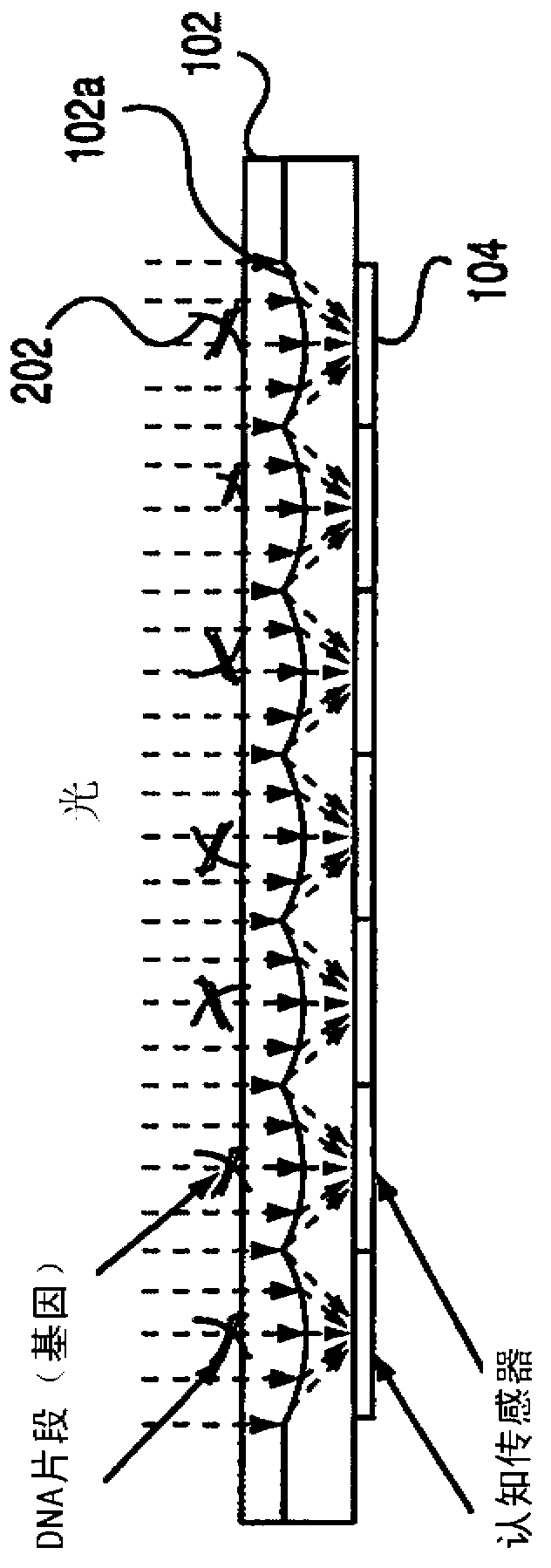 Monolithic image perception device and method