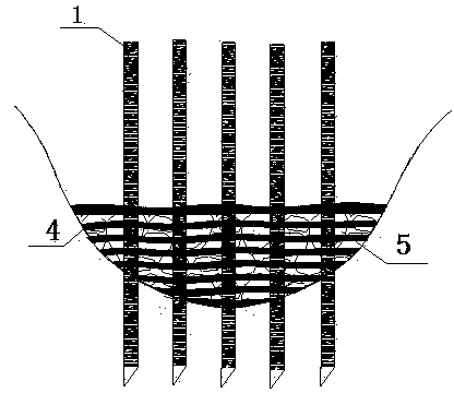 Biological check dam used for erosion gully control and construction method