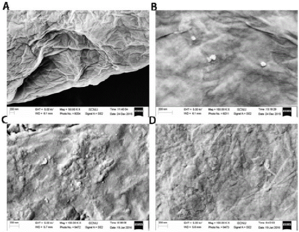 Bisphenol A molecularly imprinted electrochemical sensor and preparation method and application thereof