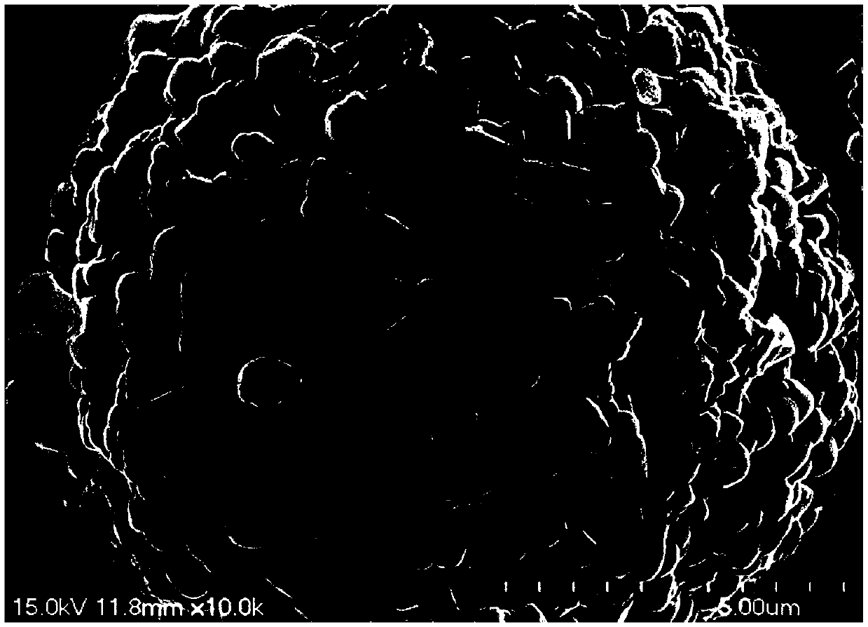 Preparation method for modifying high nickel ternary positive electrode material through multi-component coating