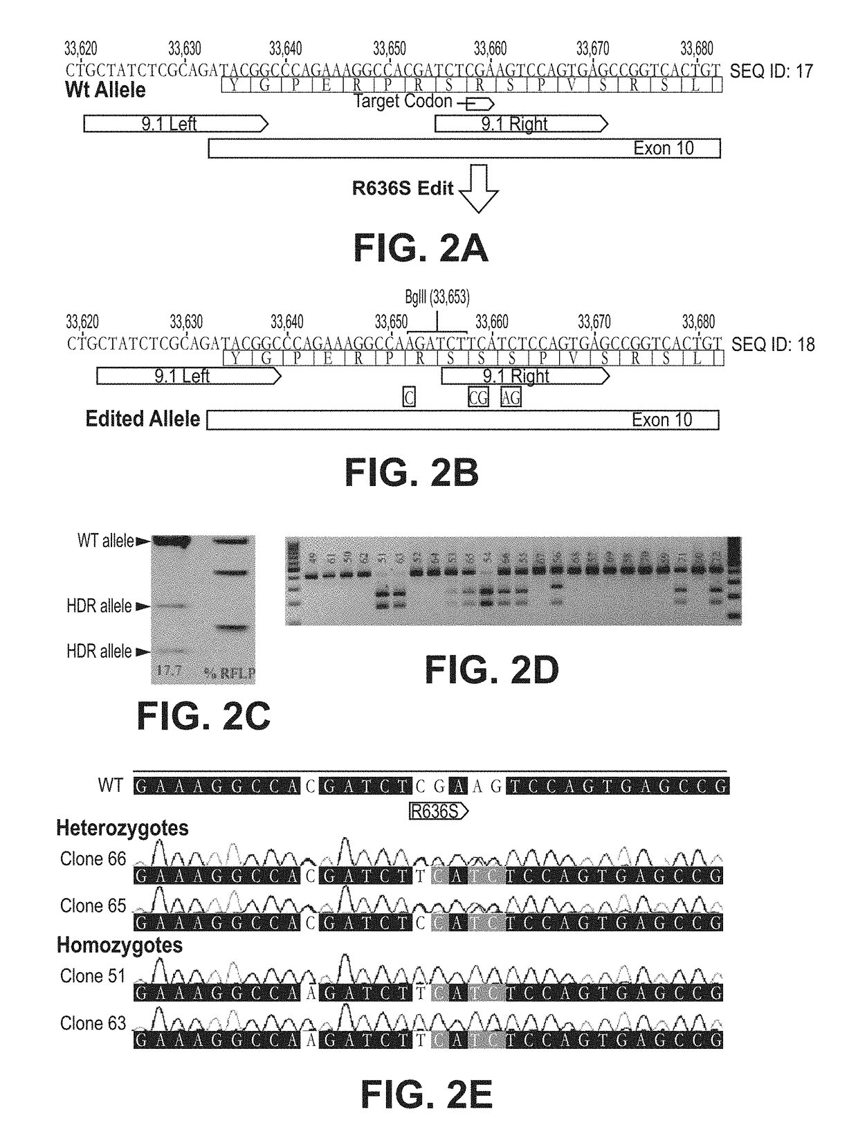 Animal models for cardiomyopathy