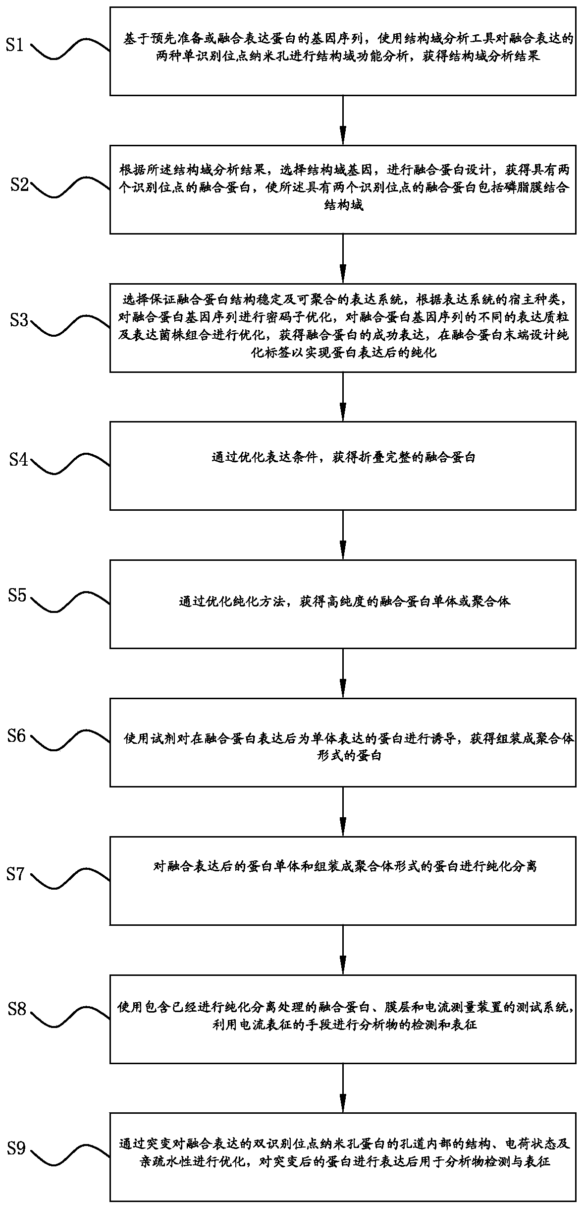 Method for constructing double-recognition-site nanopores