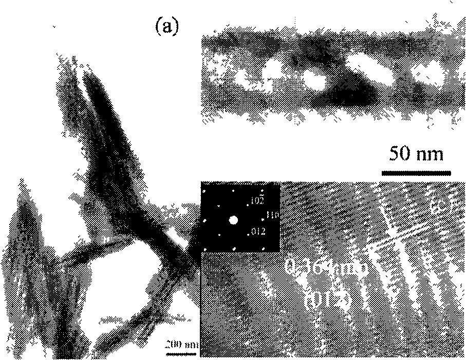 Porous Fe3O4/Fe/SiO2 core-shell nanorod absorbing high-frequency electromagnetic waves and a preparation method