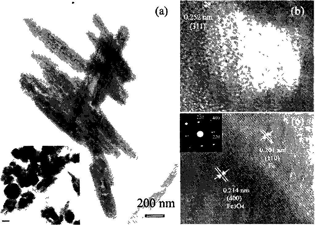 Porous Fe3O4/Fe/SiO2 core-shell nanorod absorbing high-frequency electromagnetic waves and a preparation method