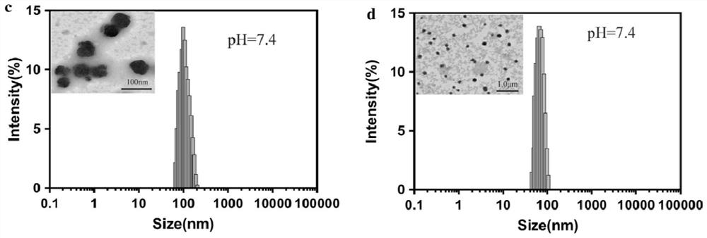 PH/ROS response type nano-drug delivery system and preparation method