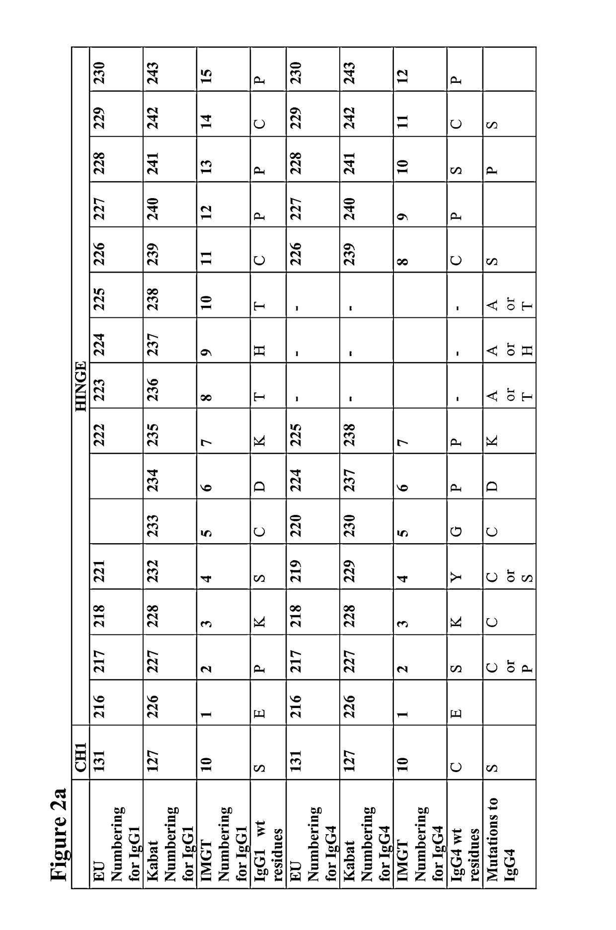 Sequence symmetric modified IGG4 bispecific antibodies