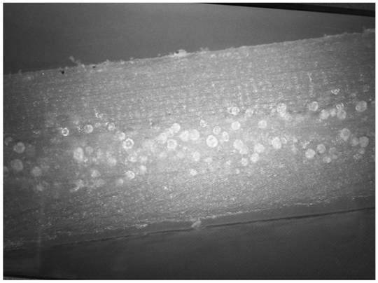 High-efficiency light electromagnetic absorbing material with closed-pore structure and preparation method of high-efficiency light electromagnetic absorbing material