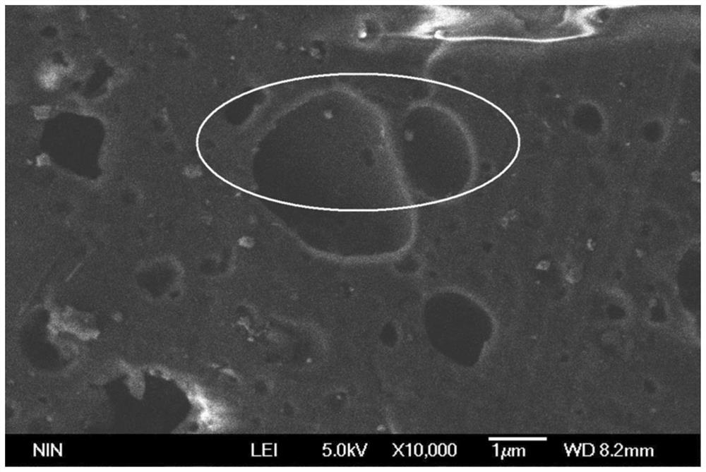 High-efficiency light electromagnetic absorbing material with closed-pore structure and preparation method of high-efficiency light electromagnetic absorbing material