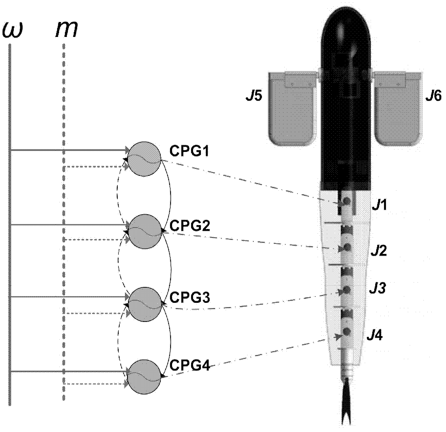 Backward swimming control method of biomimetic carangiform robot fish