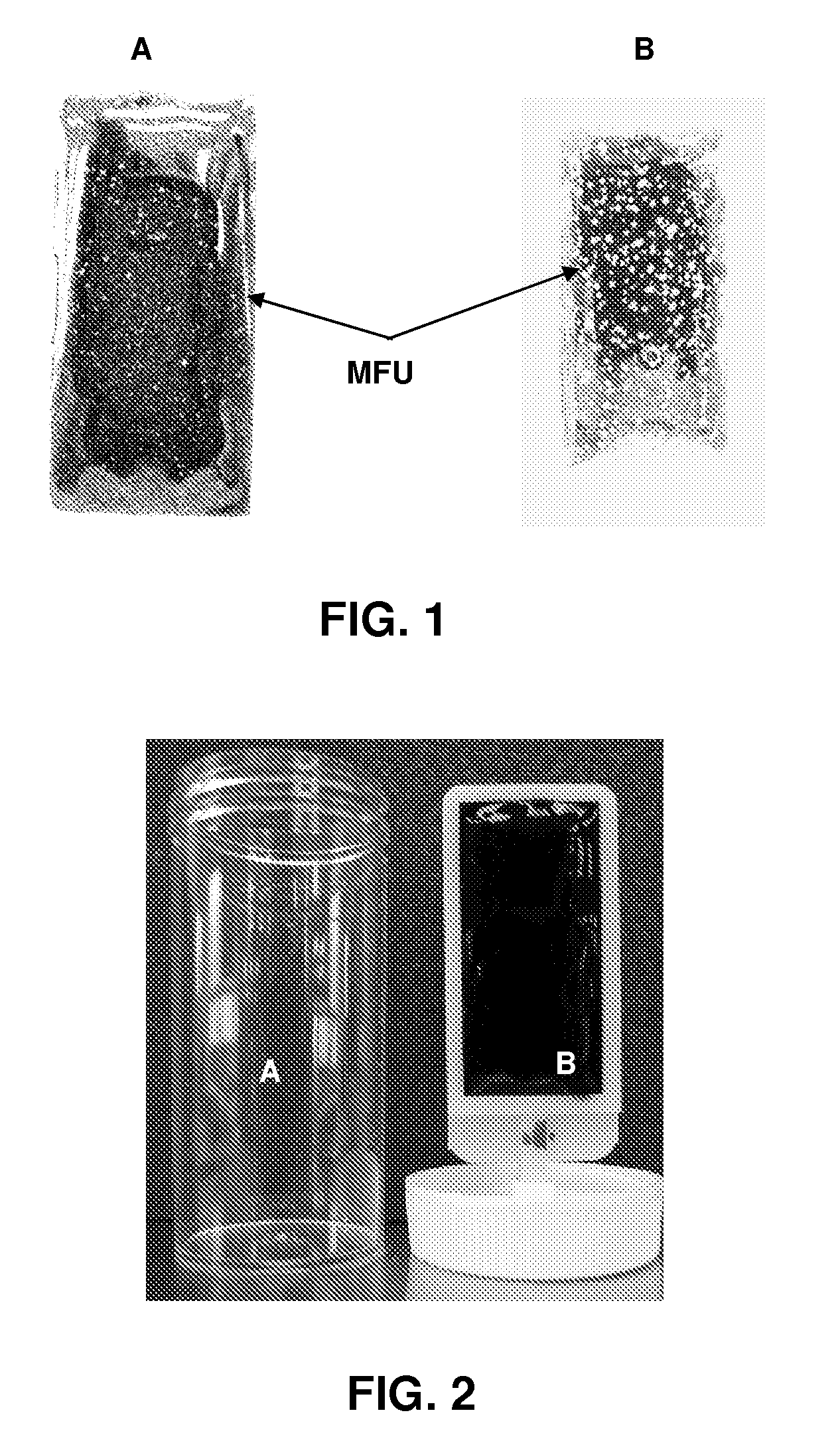 Methods and compositions for rapidly detecting and quantifying viable legionella