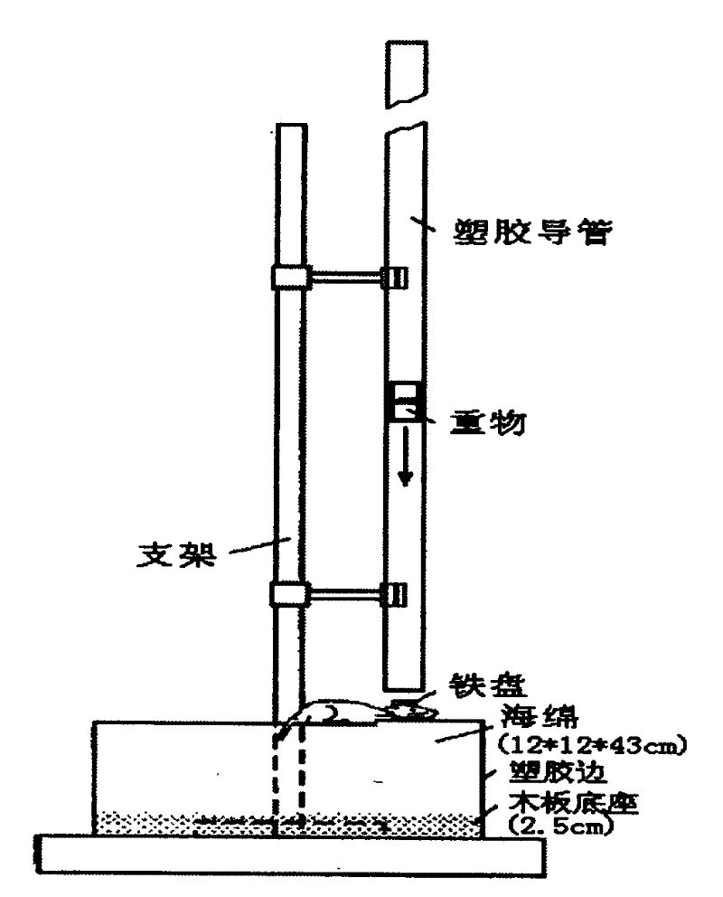 Device for generating diffuse axonal injury to rodent