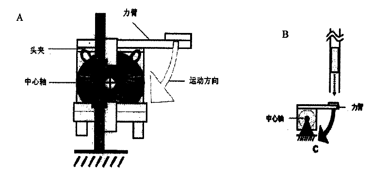 Device for generating diffuse axonal injury to rodent