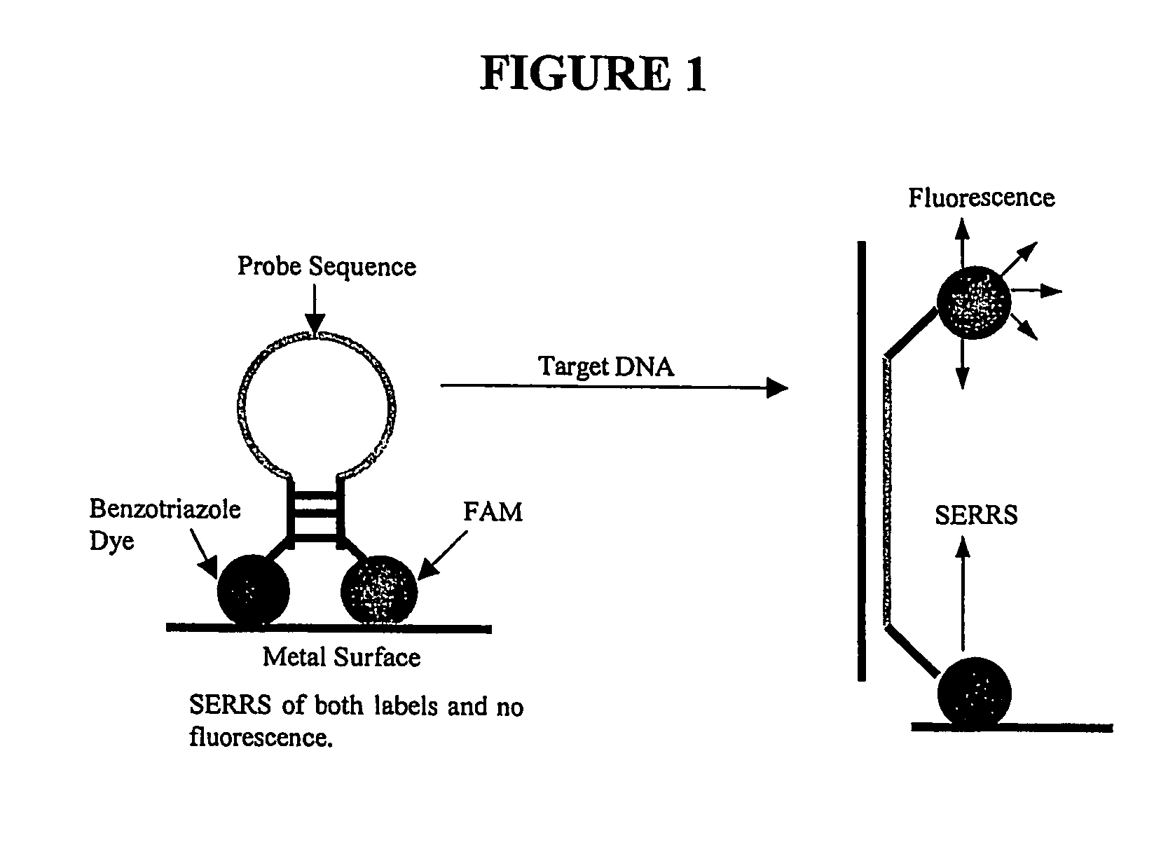 Nucleic acid sequence identification