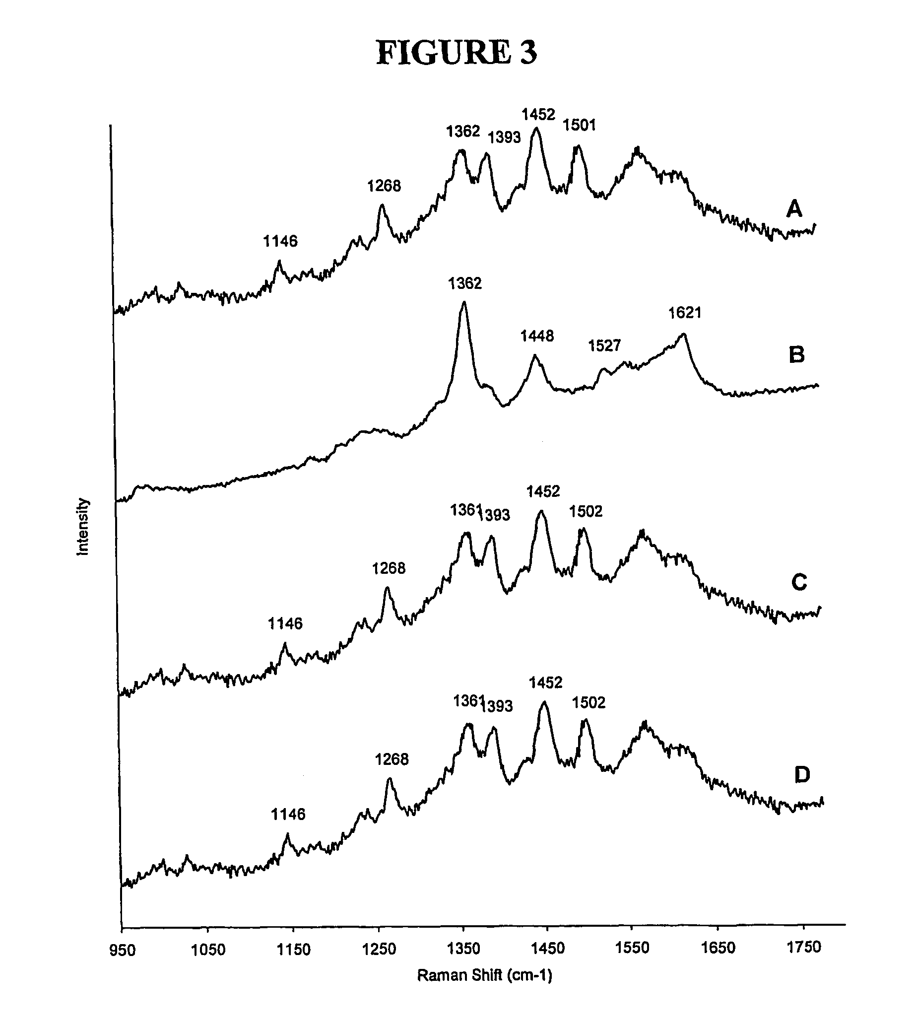 Nucleic acid sequence identification