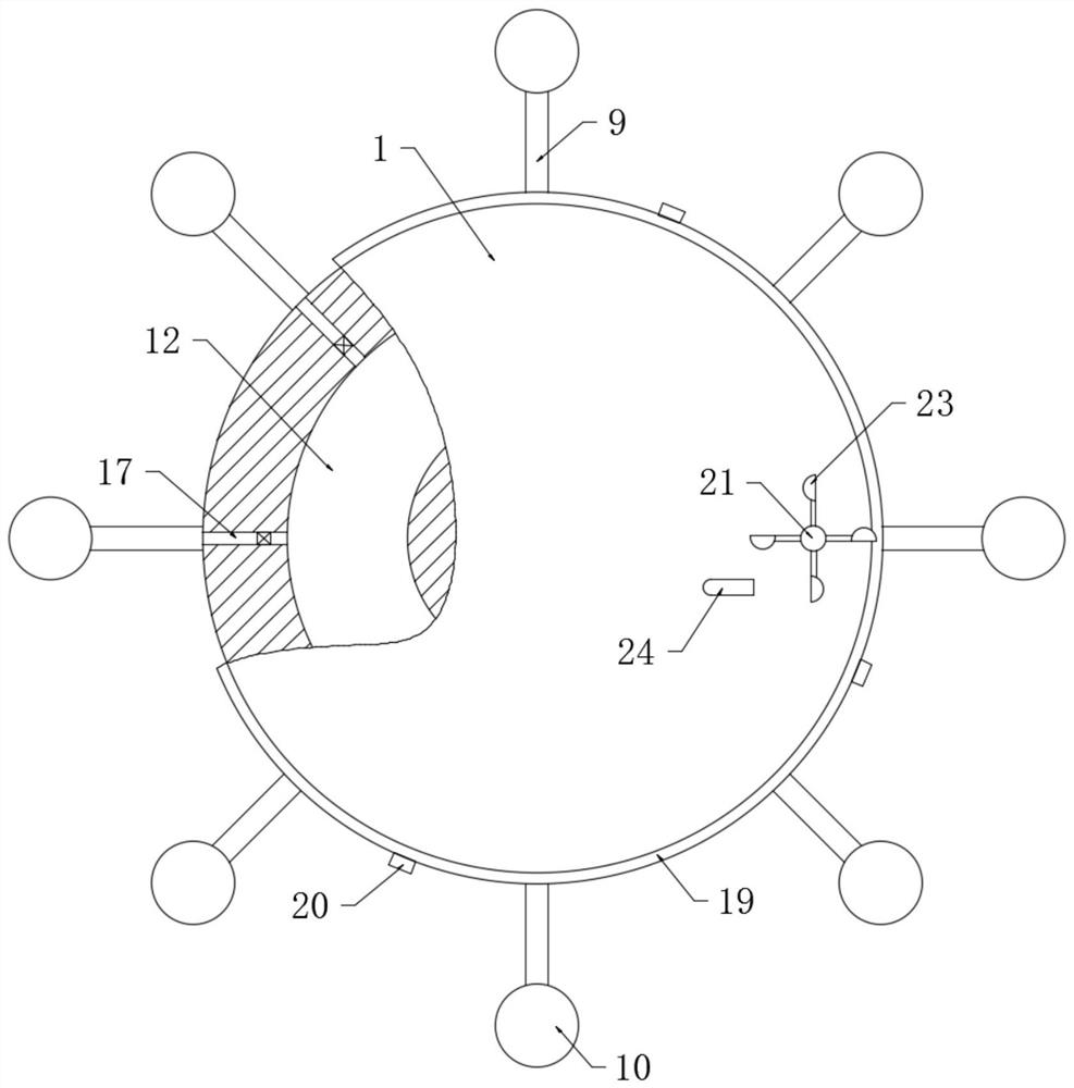 Multifunctional buoy device for water surface monitoring