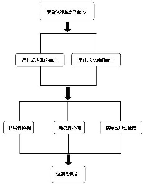 Kit for loop-mediated isothermal amplification detection of Mycoplasma ovipneumoniae and preparation and usage methods thereof