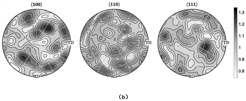 Texture prediction method in thermoplastic large deformation process of near-alpha type titanium alloy