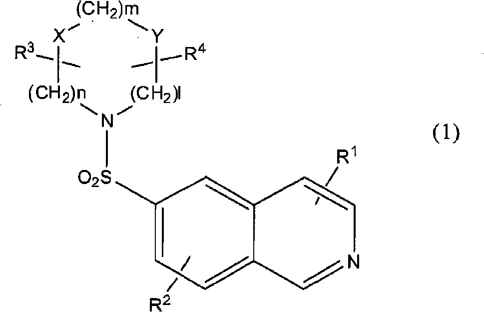 Substituted isoquinoline derivative