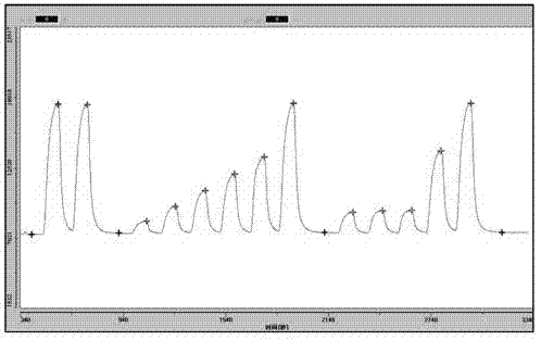 Method for detecting and analyzing content of polyphenol in beer semi-finished product and bear finished product