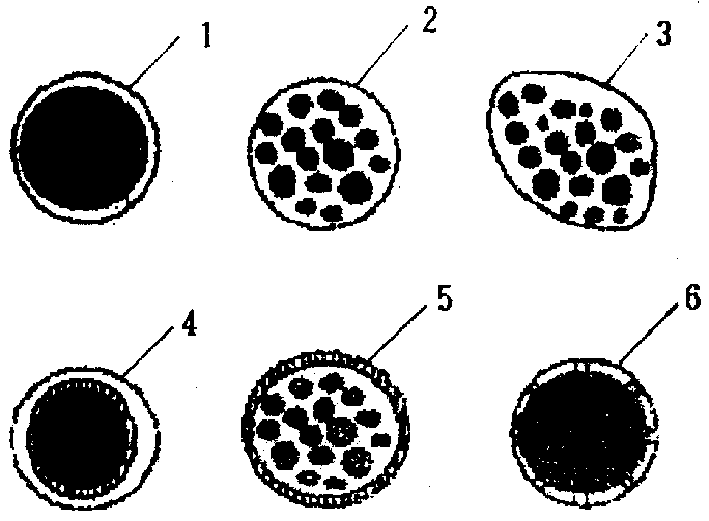 Micromoleculer capsule and its preparation method and application