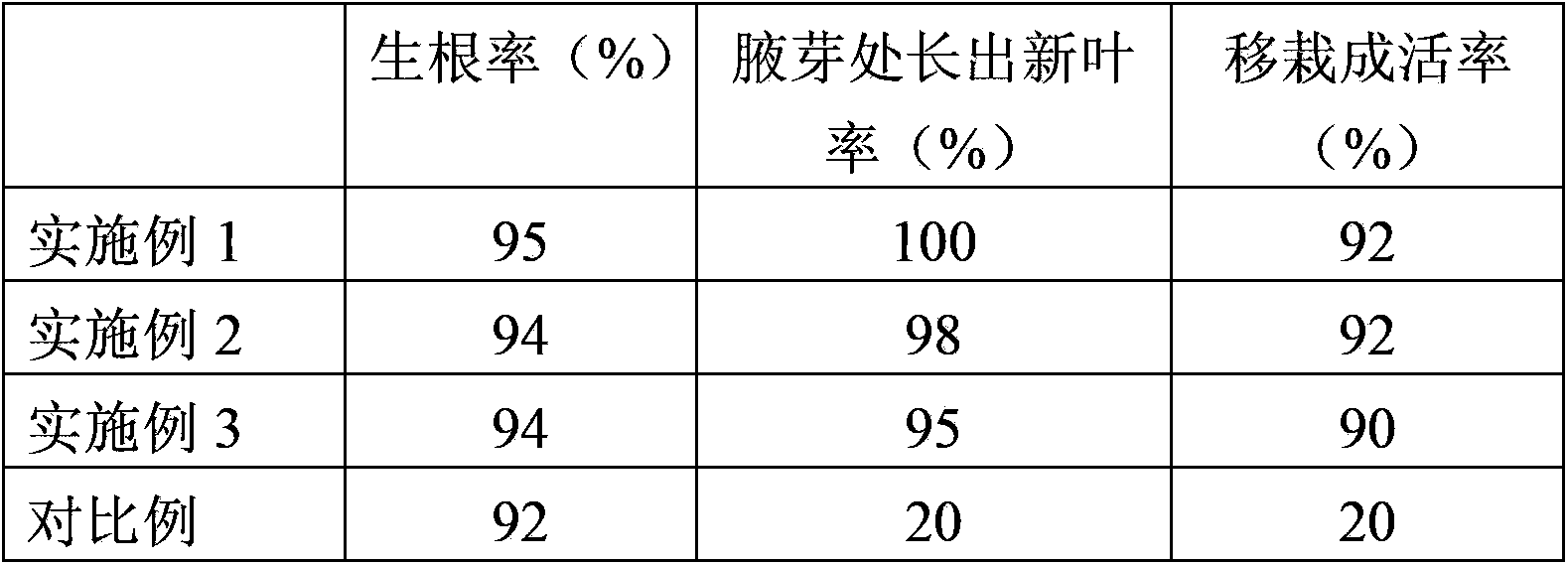 Cutting propagation method of leaf-borne jasmine twig