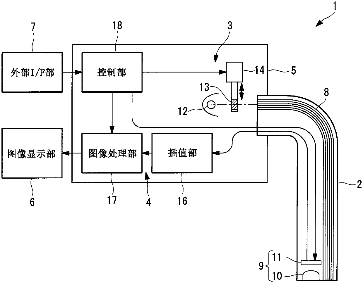 Image processing device, living body observation device and image processing method