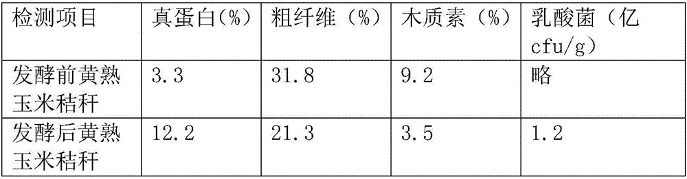 Integration processing method of high-efficient corn straw biological feed