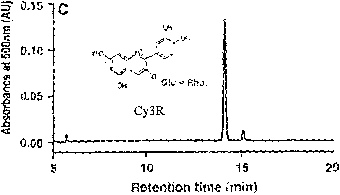 Method for quickly analyzing anthocyanin in tobacco corolla