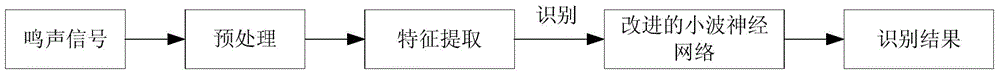 Nipponia nippon individual recognition method based on MFCC algorithm