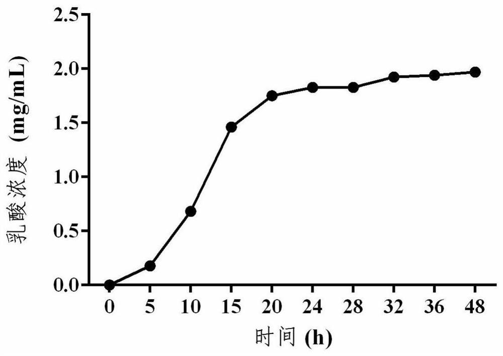 Lactobacillus gasseri LS03 and application thereof