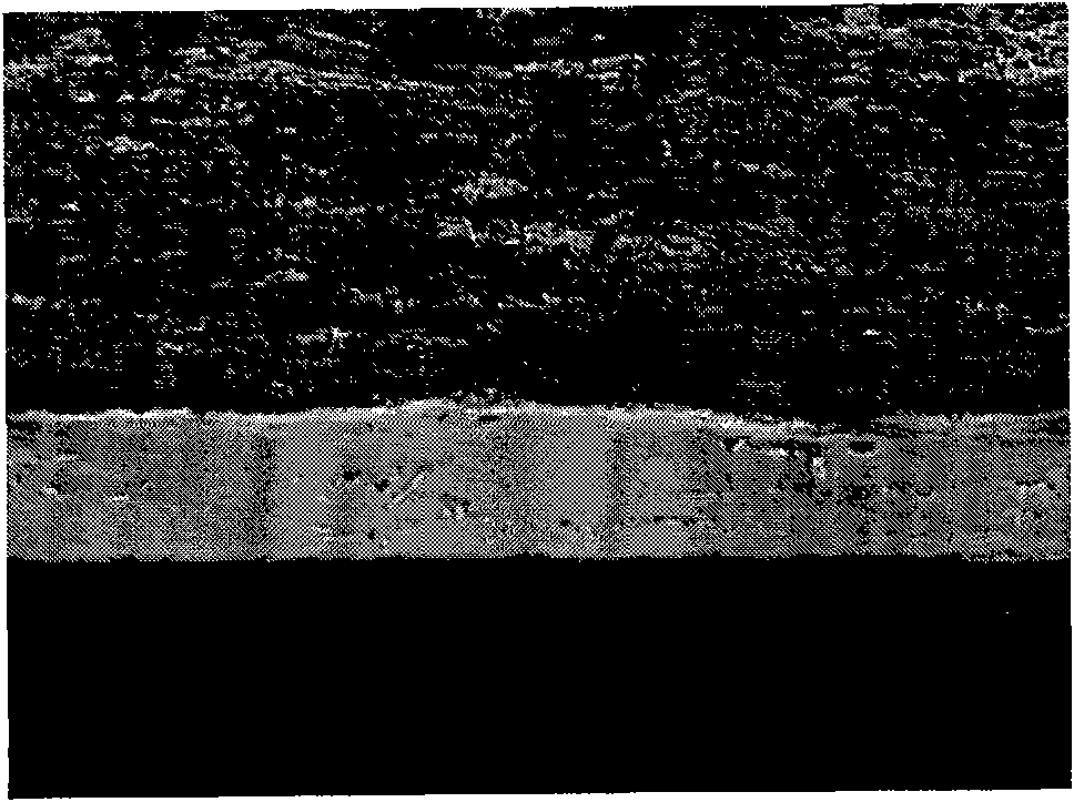 Antibacterial stainless steel composite steel plate and its manufacturing method