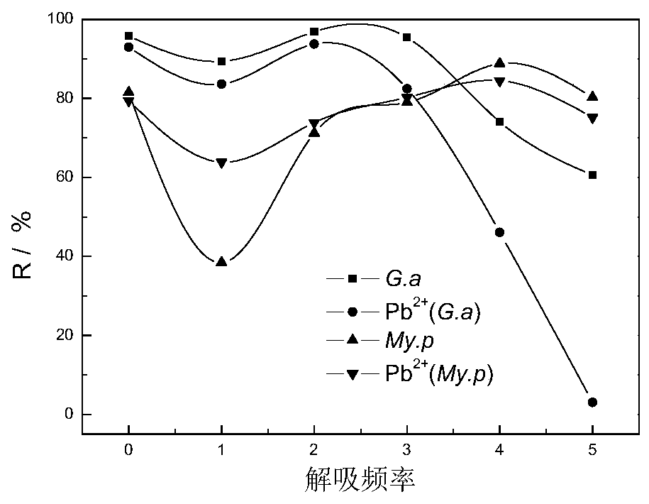 Method for removal of lead ions in sewage by mycobacterium phlei