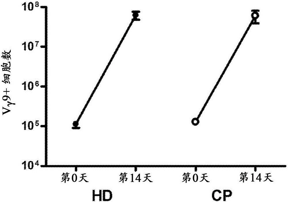 Expanding T cell populations using biphosphonates, anti CD 3 antibody and IL-2