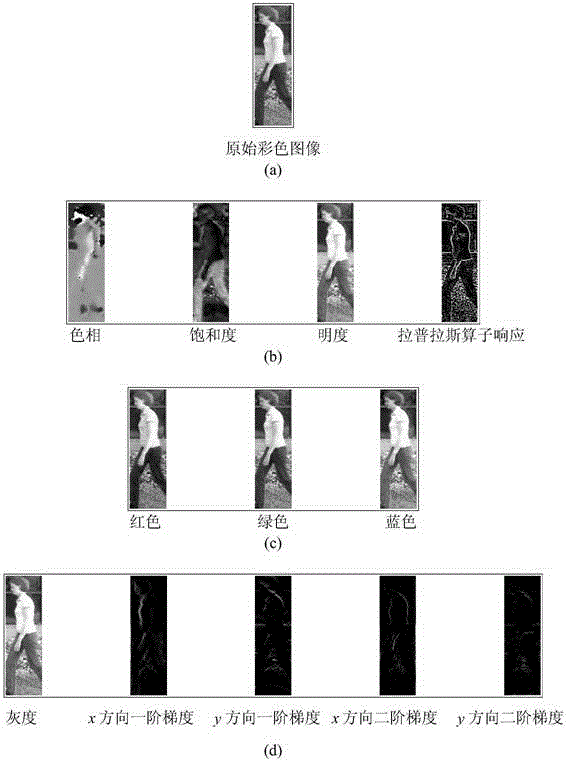 Target tracking method based on HSV color covariance characteristics