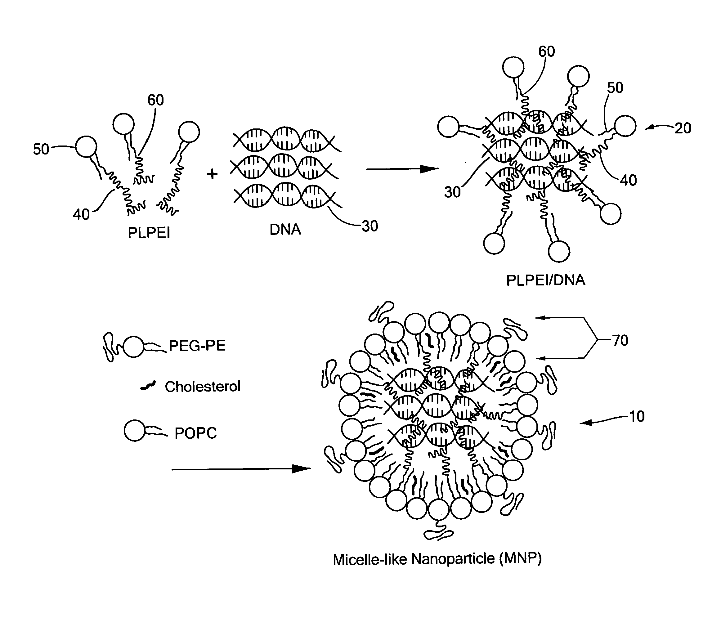 Self-assembling micelle-like nanoparticles for systemic gene delivery