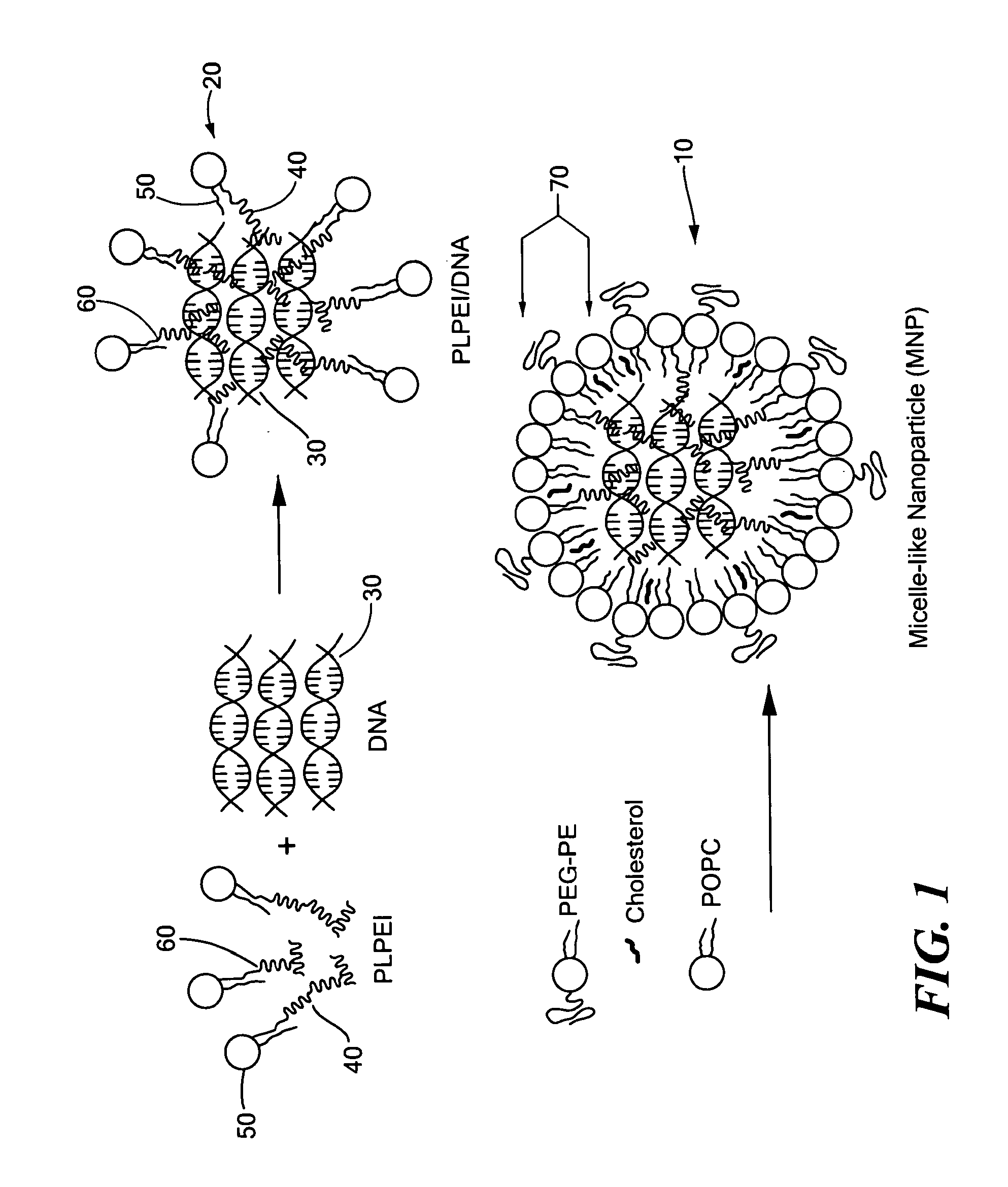 Self-assembling micelle-like nanoparticles for systemic gene delivery