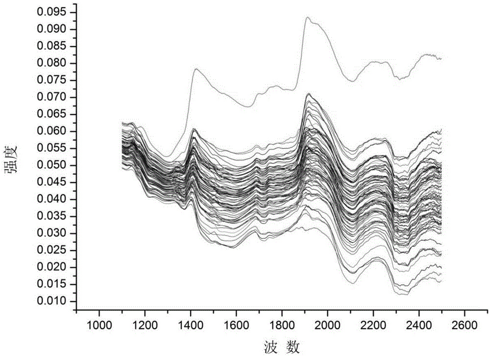 Model transferring method based on dual-tree complex wavelet and piecewise direct standardization