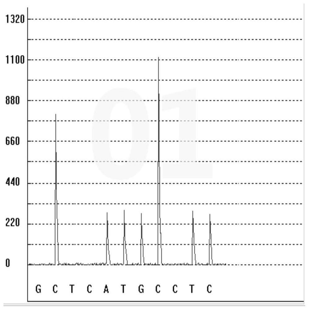 Gene polymorphism detection kit for predicting efficacy of tumor necrosis factor alpha inhibitor as well as detection method and application of gene polymorphism detection kit