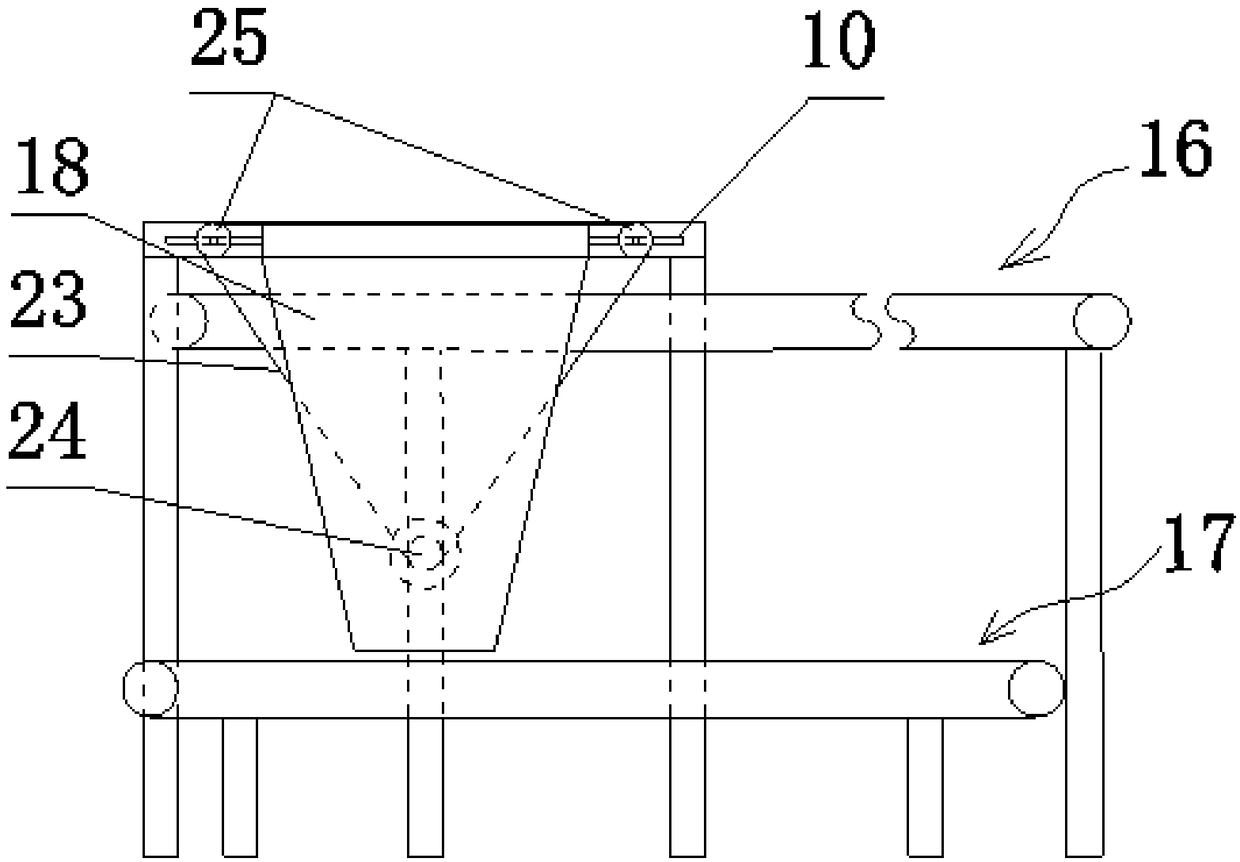 Vegetable root cutting machine