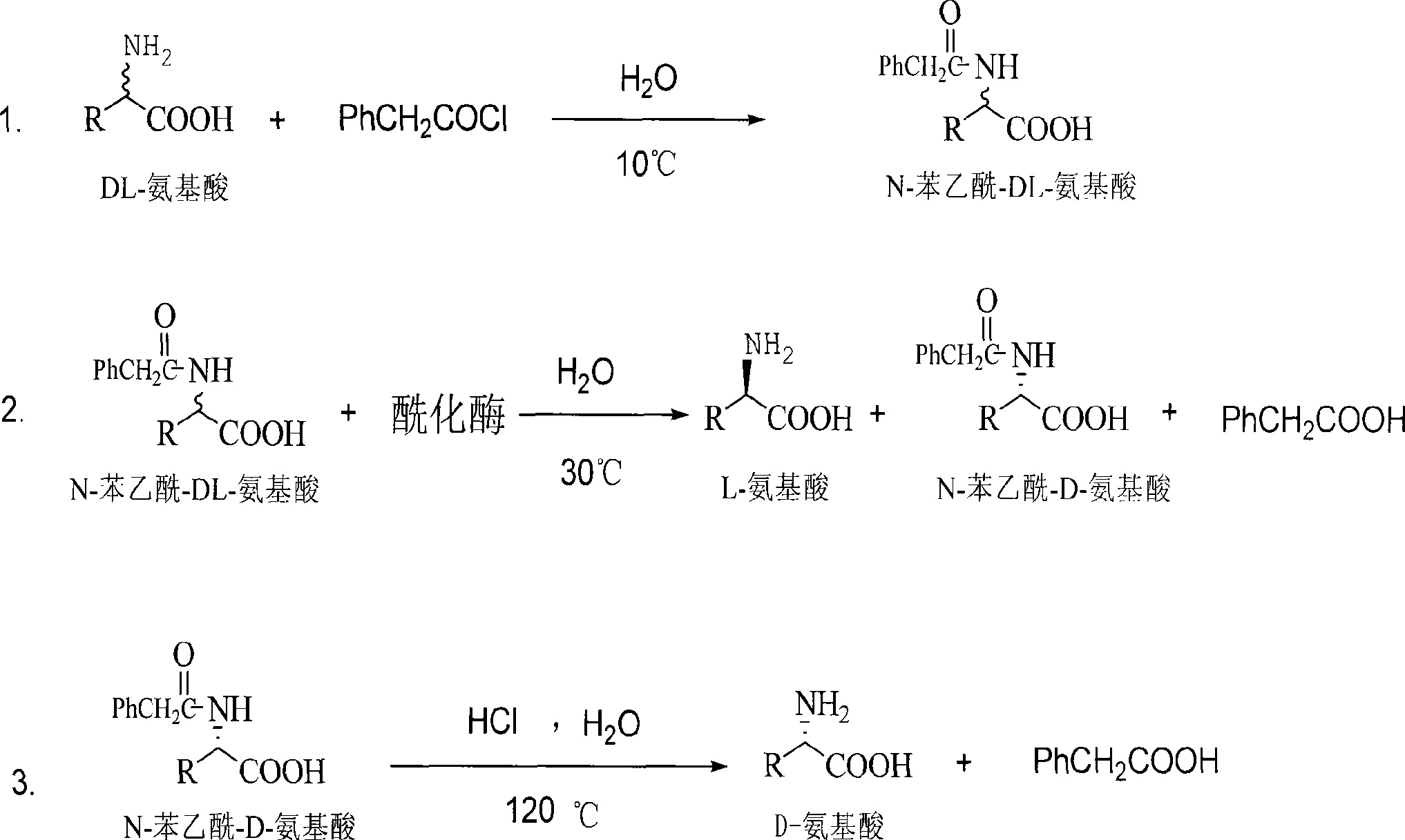 Method for preparing D-aminophenol with immobilization penicillin acylated enzyme catalysis