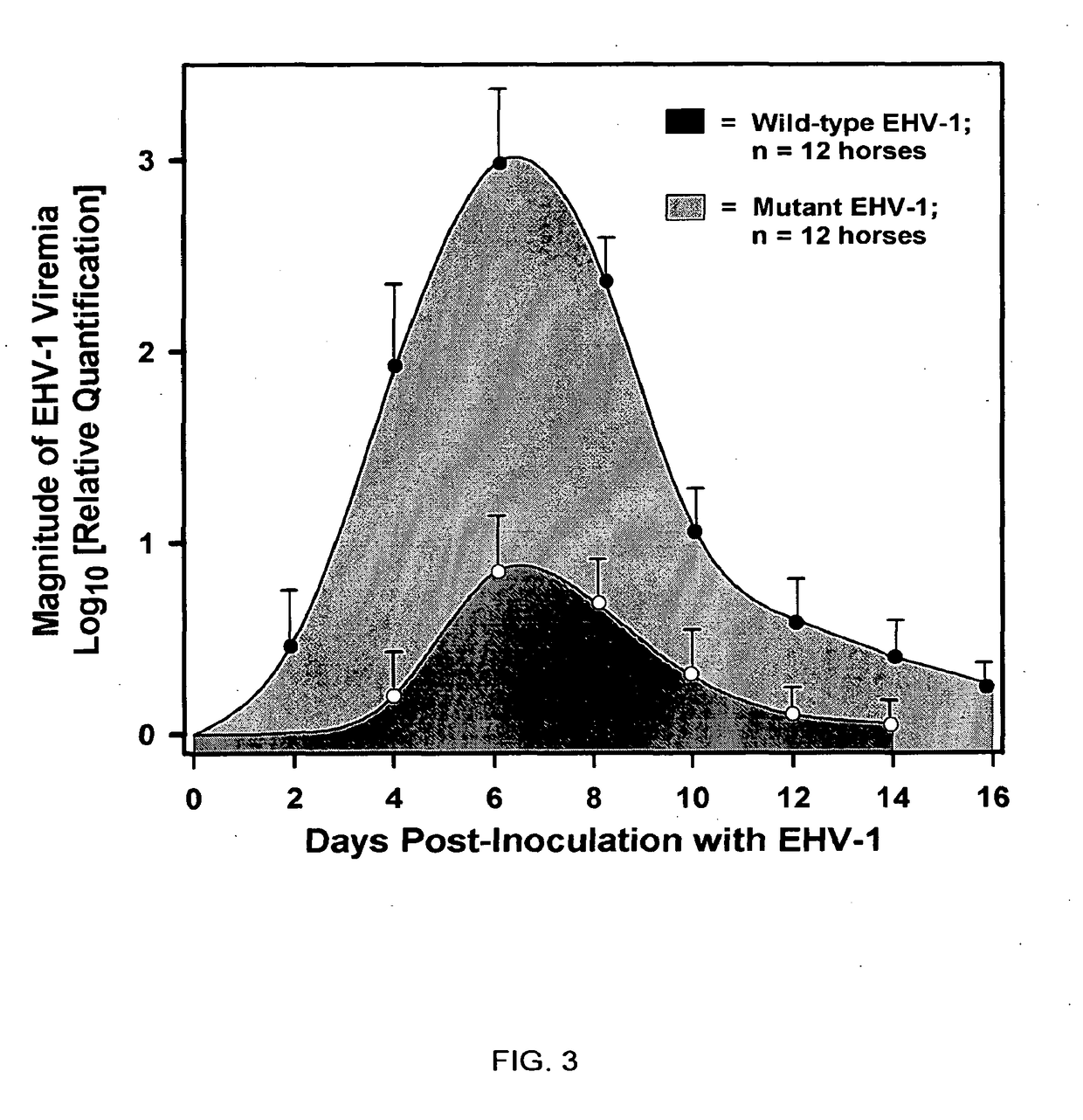 Equine disease model for herpesvirus neurologic disease and uses thereof